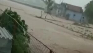 WhatsApp Image 2024-05-20 at 12.22.21 PM