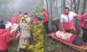 WhatsApp Image 2024-05-20 at 12.56.31 PM