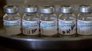 WhatsApp Image 2024-05-20 at 2.52.18 PM