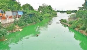 WhatsApp Image 2024-05-21 at 2.19.36 PM