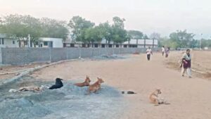 WhatsApp Image 2024-05-21 at 2.27.21 PM