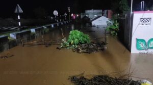 WhatsApp Image 2024-05-21 at 3.09.04 PM