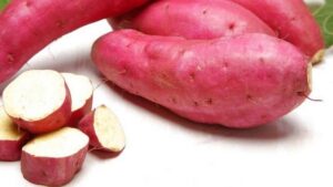 WhatsApp Image 2024-05-21 at 4.00.40 PM