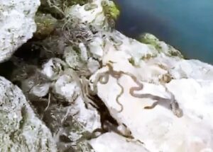 WhatsApp Image 2024-05-22 at 11.44.02 AM