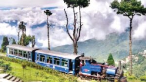 WhatsApp Image 2024-05-22 at 11.54.42 AM