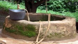 WhatsApp Image 2024-05-22 at 12.37.06 PM