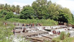 WhatsApp Image 2024-05-22 at 12.39.13 PM