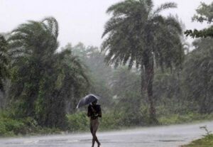 WhatsApp Image 2024-05-23 at 12.45.48 PM