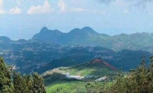 WhatsApp Image 2024-05-23 at 12.48.27 PM