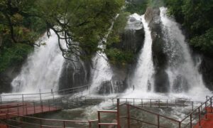 WhatsApp Image 2024-05-24 at 10.53.54 AM