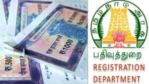 WhatsApp Image 2024-05-25 at 1.17.54 PM