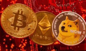 WhatsApp Image 2024-05-25 at 12.45.54 PM