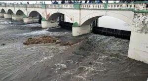 WhatsApp Image 2024-05-25 at 2.56.51 PM