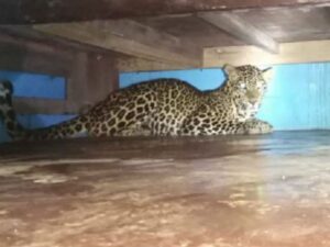 WhatsApp Image 2024-05-25 at 3.01.06 PM