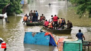 WhatsApp Image 2024-05-25 at 3.11.24 PM