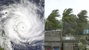 WhatsApp Image 2024-05-27 at 11.13.16 AM