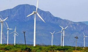 WhatsApp Image 2024-05-27 at 2.20.24 PM