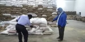 WhatsApp Image 2024-05-31 at 11.15.48 AM