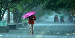 WhatsApp Image 2024-06-01 at 11.31.16 AM