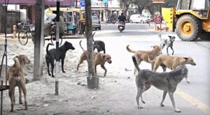 WhatsApp Image 2024-06-01 at 12.16.21 PM