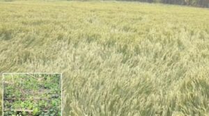 WhatsApp Image 2024-06-04 at 11.56.27 AM