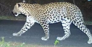 WhatsApp Image 2024-06-07 at 11.47.49 AM