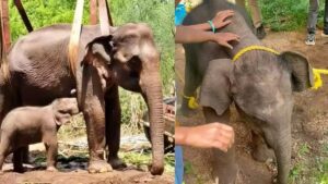 WhatsApp Image 2024-06-08 at 12.16.45 PM