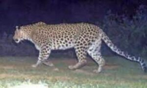 WhatsApp Image 2024-06-08 at 12.45.44 PM