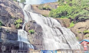 WhatsApp Image 2024-06-10 at 12.36.54 PM