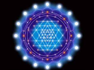 WhatsApp Image 2024-06-11 at 11.59.46 AM