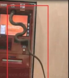 WhatsApp Image 2024-06-13 at 12.53.32 PM