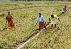 WhatsApp Image 2024-06-14 at 12.15.42 PM