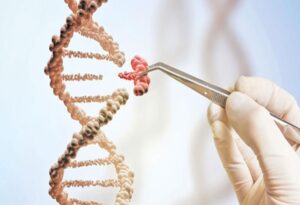 WhatsApp Image 2024-06-14 at 12.50.54 PM