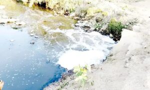 WhatsApp Image 2024-06-14 at 12.53.04 PM