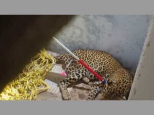 WhatsApp Image 2024-06-15 at 11.35.33