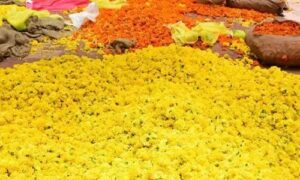 WhatsApp Image 2024-06-15 at 12.13.18