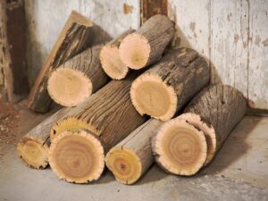 WhatsApp Image 2024-06-17 at 11.57.58