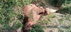 WhatsApp Image 2024-06-18 at 11.40.03