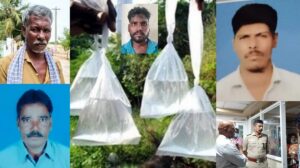 WhatsApp Image 2024-06-20 at 11.49.01