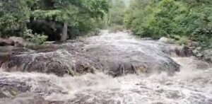 WhatsApp Image 2024-06-24 at 12.13.47