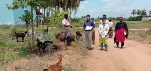 WhatsApp Image 2024-06-24 at 14.24.39