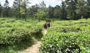 WhatsApp Image 2024-06-28 at 13.00.47