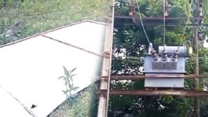 WhatsApp Image 2024-07-01 at 12.29.27