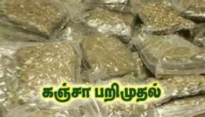 WhatsApp Image 2024-07-03 at 11.00.14