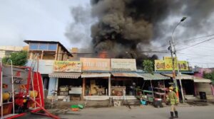 WhatsApp Image 2024-07-03 at 11.23.11