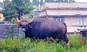 WhatsApp Image 2024-07-10 at 13.10.42