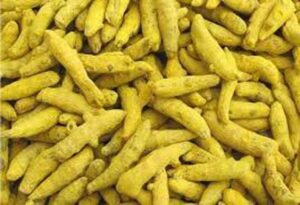 WhatsApp Image 2024-07-10 at 13.27.05