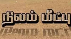 WhatsApp Image 2024-07-10 at 13.29.06