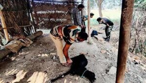 WhatsApp Image 2024-07-10 at 14.53.54