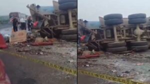 WhatsApp Image 2024-07-10 at 15.08.46